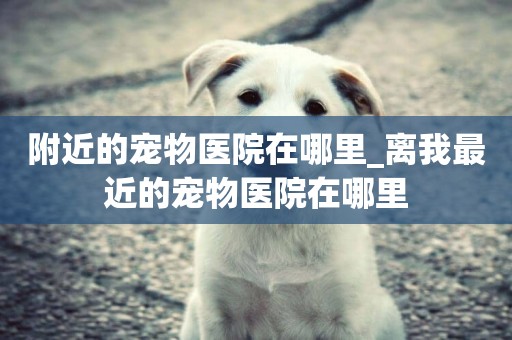 附近的寵物醫院在哪里_離我最近的寵物醫院在哪里