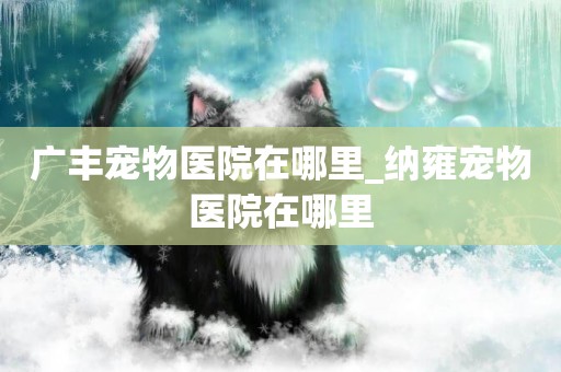 廣豐寵物醫院在哪里_納雍寵物醫院在哪里