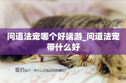 問道法寵哪個好端游_問道法寵帶什么好