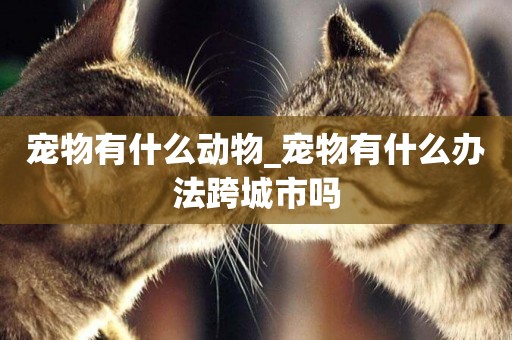 寵物有什么動物_寵物有什么辦法跨城市嗎