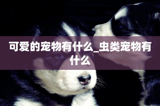 可愛的寵物有什么_蟲類寵物有什么