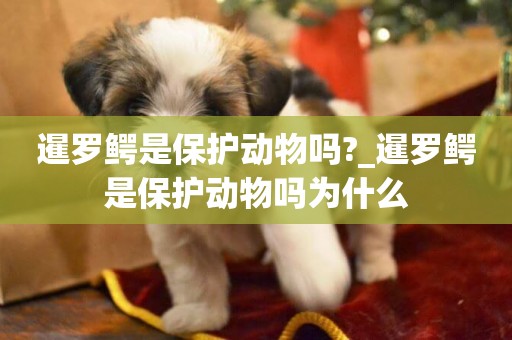 暹羅鱷是保護動物嗎?_暹羅鱷是保護動物嗎為什么