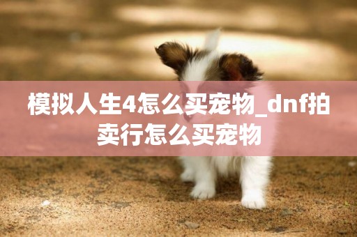 模擬人生4怎么買寵物_dnf拍賣行怎么買寵物