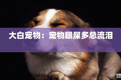 大白寵物：寵物眼屎多總流淚 
