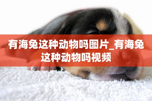 有海兔這種動物嗎圖片_有海兔這種動物嗎視頻