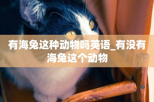 有海兔這種動物嗎英語_有沒有海兔這個動物