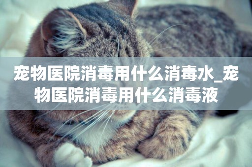寵物醫院消毒用什么消毒水_寵物醫院消毒用什么消毒液