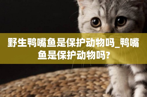 野生鴨嘴魚是保護動物嗎_鴨嘴魚是保護動物嗎?