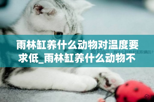 雨林缸養什么動物對溫度要求低_雨林缸養什么動物不用喂養