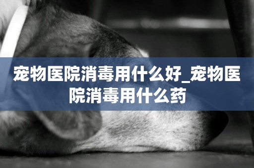 寵物醫院消毒用什么好_寵物醫院消毒用什么藥