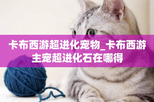 卡布西游超進化寵物_卡布西游主寵超進化石在哪得
