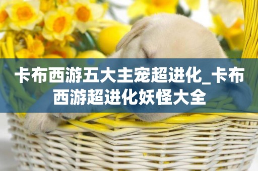 卡布西游五大主寵超進化_卡布西游超進化妖怪大全