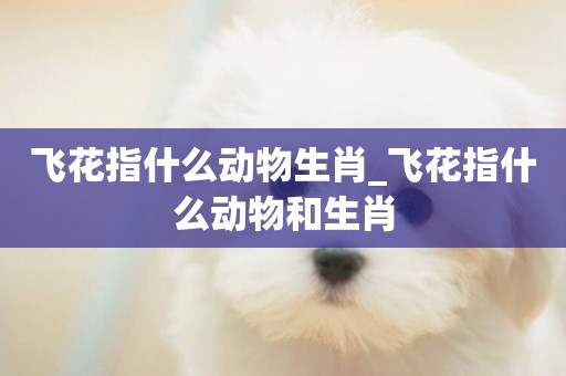 飛花指什么動物生肖_飛花指什么動物和生肖