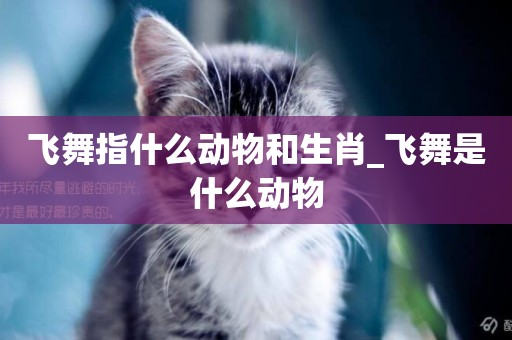 飛舞指什么動物和生肖_飛舞是什么動物