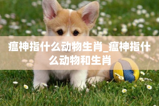 瘟神指什么動物生肖_瘟神指什么動物和生肖