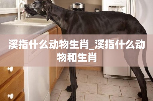 溪指什么動物生肖_溪指什么動物和生肖