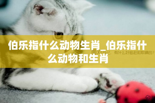 伯樂指什么動物生肖_伯樂指什么動物和生肖