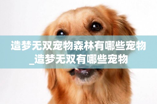 造夢無雙寵物森林有哪些寵物_造夢無雙有哪些寵物