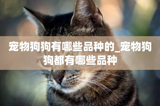 寵物狗狗有哪些品種的_寵物狗狗都有哪些品種