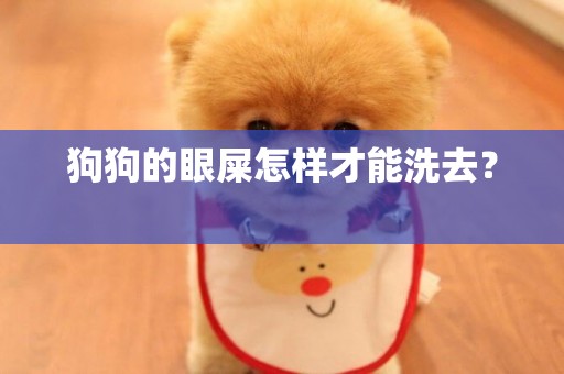狗狗的眼屎怎樣才能洗去？ 
