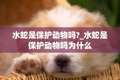 水蛇是保護動物嗎?_水蛇是保護動物嗎為什么