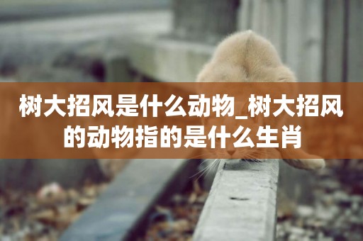 樹大招風是什么動物_樹大招風的動物指的是什么生肖