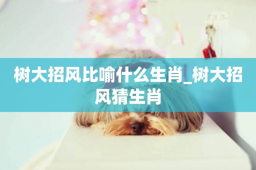 樹大招風比喻什么生肖_樹大招風猜生肖
