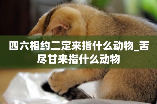 四六相約二定來指什么動物_苦盡甘來指什么動物