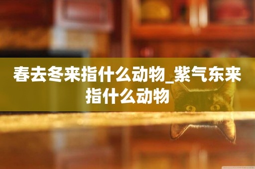 春去冬來指什么動物_紫氣東來指什么動物