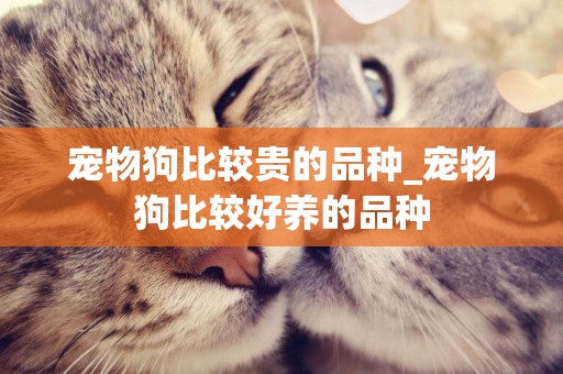 寵物狗比較貴的品種_寵物狗比較好養的品種