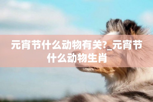 元宵節什么動物有關?_元宵節什么動物生肖