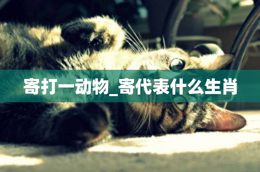 寄打一動物_寄代表什么生肖