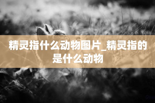 精靈指什么動物圖片_精靈指的是什么動物