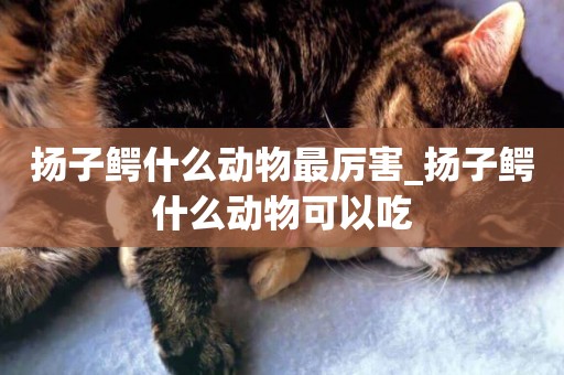 揚子鱷什么動物最厲害_揚子鱷什么動物可以吃
