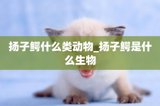 揚子鱷什么類動物_揚子鱷是什么生物