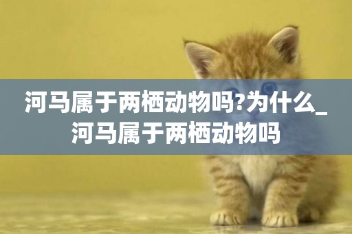 河馬屬于兩棲動物嗎?為什么_河馬屬于兩棲動物嗎
