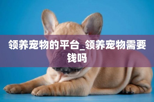 領養寵物的平臺_領養寵物需要錢嗎