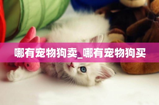 哪有寵物狗賣_哪有寵物狗買