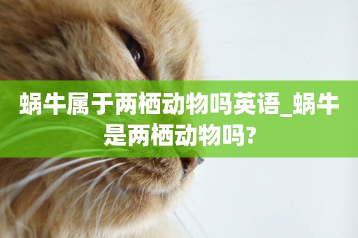 蝸牛屬于兩棲動物嗎英語_蝸牛是兩棲動物嗎?