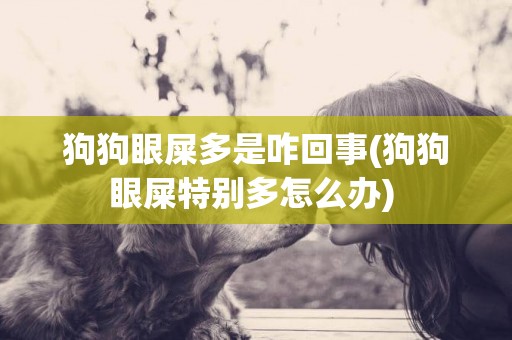 狗狗眼屎多是咋回事(狗狗眼屎特別多怎么辦) 