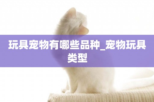 玩具寵物有哪些品種_寵物玩具類型
