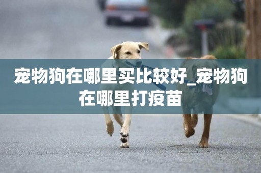 寵物狗在哪里買比較好_寵物狗在哪里打疫苗