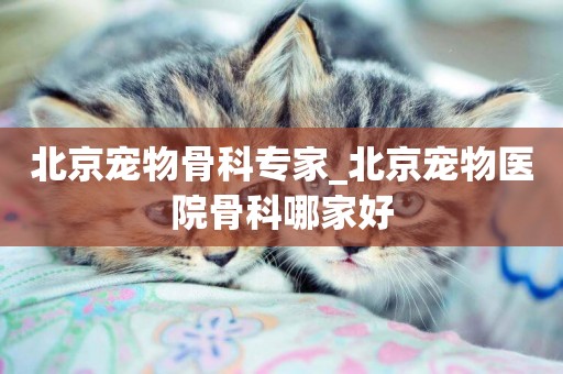 北京寵物骨科專家_北京寵物醫院骨科哪家好