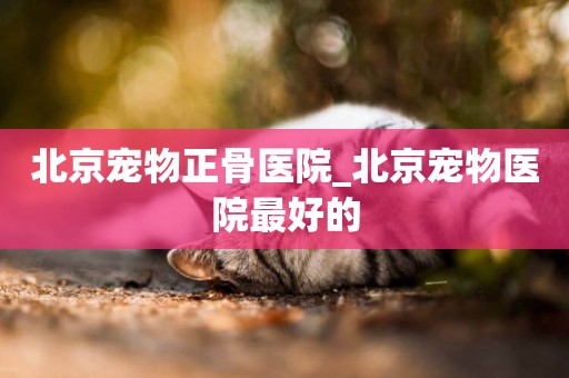 北京寵物正骨醫院_北京寵物醫院最好的