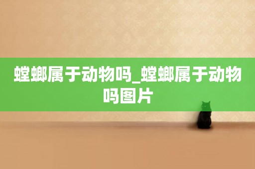 螳螂屬于動物嗎_螳螂屬于動物嗎圖片