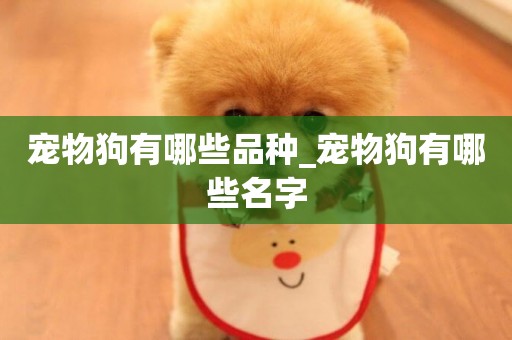 寵物狗有哪些品種_寵物狗有哪些名字