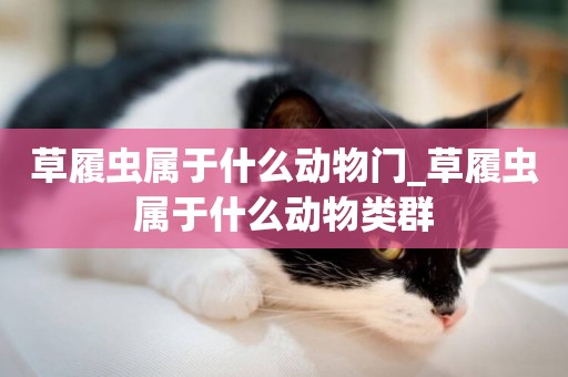 草履蟲屬于什么動物門_草履蟲屬于什么動物類群