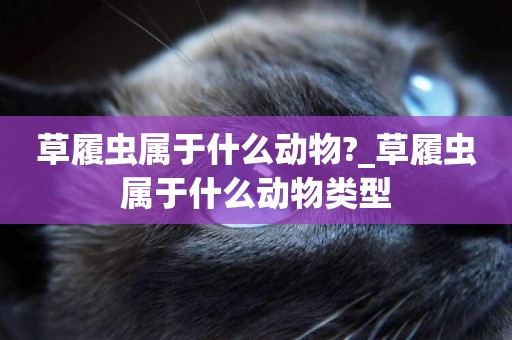 草履蟲屬于什么動物?_草履蟲屬于什么動物類型