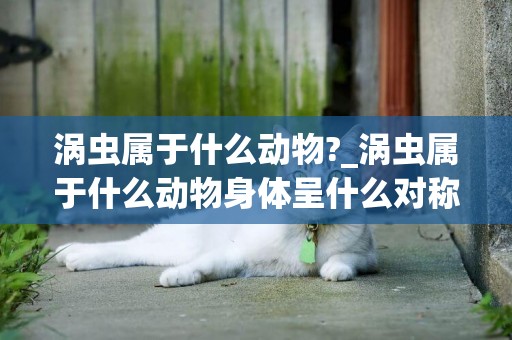 渦蟲屬于什么動物?_渦蟲屬于什么動物身體呈什么對稱