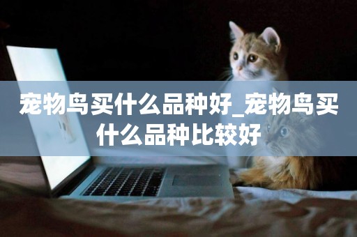 寵物鳥買什么品種好_寵物鳥買什么品種比較好